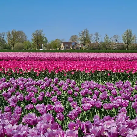 Horská chata 503b Op Recreatiepark De Wielen Hoevelaken