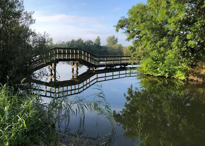 503b Op Recreatiepark De Wielen Domek alpejski