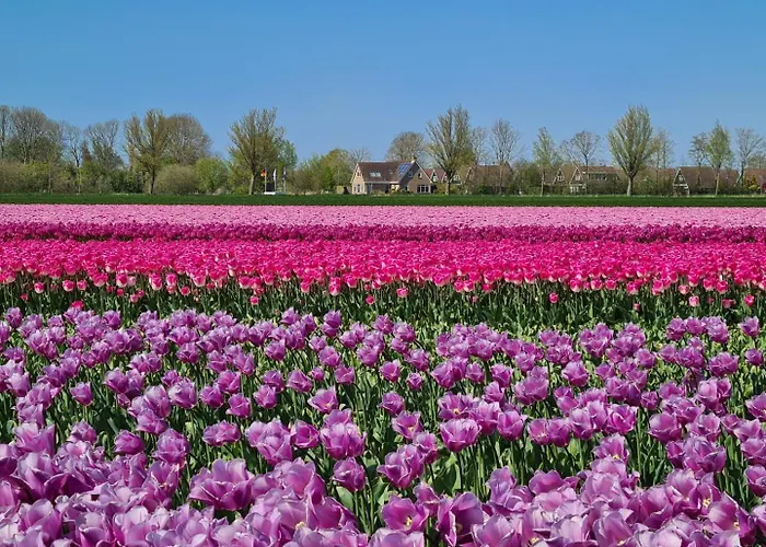 Domek alpejski 503b Op Recreatiepark De Wielen Hoevelaken